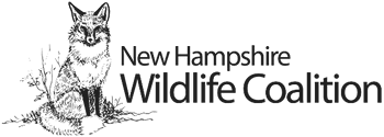 Support New Hampshire Wildlife Coalition Nonprofit